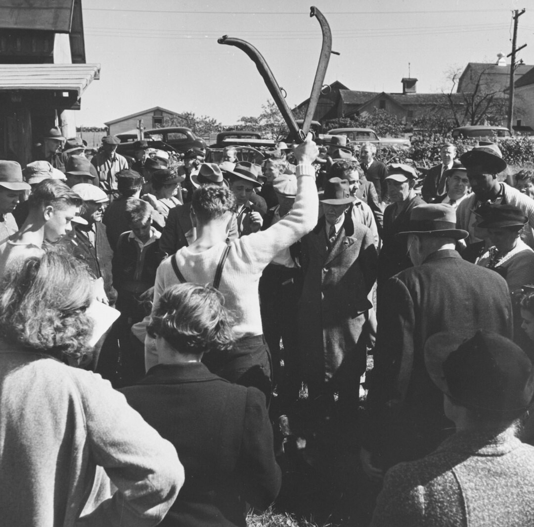 Crowd cheering at an outdoor award ceremony